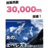 綿ポリ ハーフダンガリー ギンガムチェック 3mm/6mm 50cm単位　110cm幅 【商用可能】