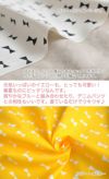 ＊Fancy Modern Ribbon＊（ファンシー モダン リボン）≪オックスプリント≫  50cm単位 104cm幅 【商用可能】