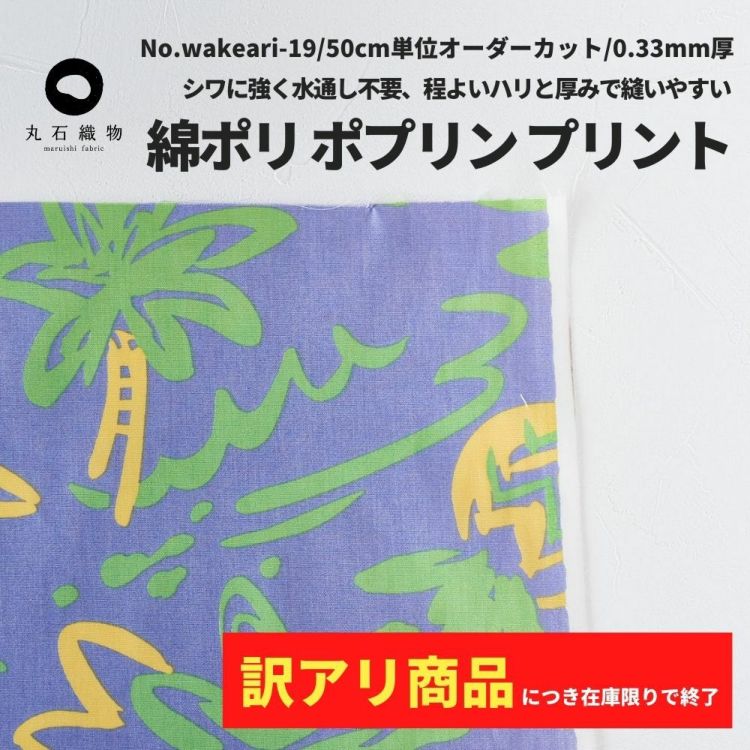 生地 布綿ポリ ポプリン プリント ブルー 50cm単位 110cm幅 0.33mm厚【商用可能】